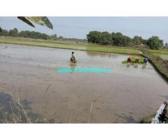 6.30 Acres Agriculture Land for Sale near Bheemaram