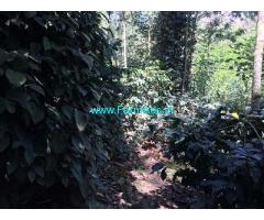 16 Acre Coffee Land for Sale Near Mudigere