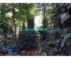 16 Acre Coffee Land for Sale Near Mudigere