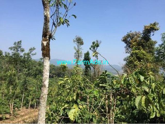 8 Acre Coffee Land for Sale Near Bankal Mudigere