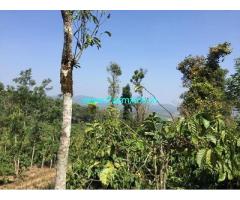 8 Acre Coffee Land for Sale Near Bankal Mudigere