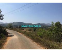 10 Acre Farm Land for Sale Near Chikmagalur