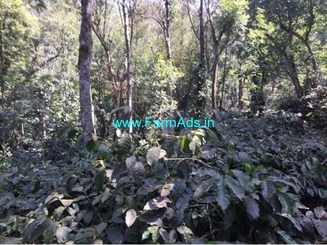 20 Acre Coffee Land for Sale Near Bankal