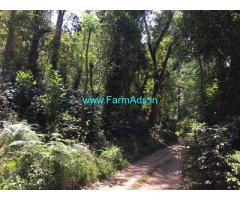 20 Acre Coffee Land for Sale Near Bankal