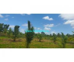 4 Acre Agriculture coconut farm Land for Sale Near Yediyur
