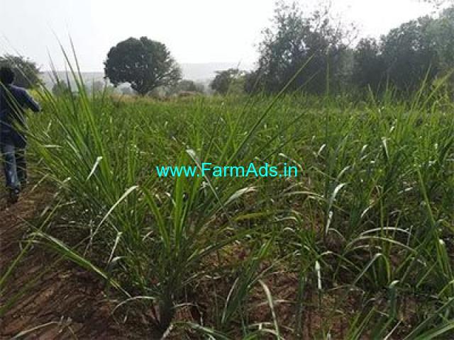2.5 Gunta Farm Land for Sale Near Sangli
