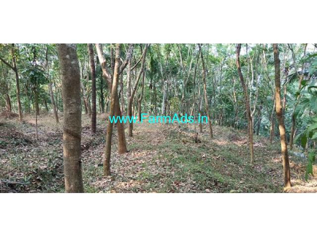 8 Acres Rubber Estate with 3 Acre open Land for Sale near Bandadka