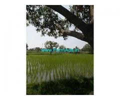 7 Acre Farm Land for Sale Near Gudur