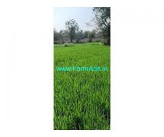 10 Acre Farm Land for Sale Near Warangal