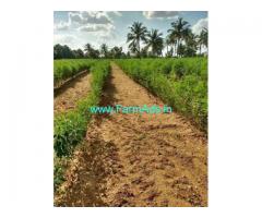 6 Acres Agriculture Farm Land for Sale near Pavagada