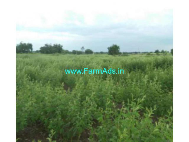 2 Acres Agriculture Land for Sale near Gulbarga