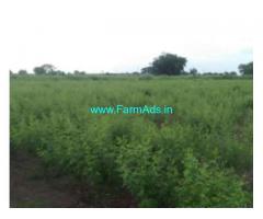 2 Acres Agriculture Land for Sale near Gulbarga