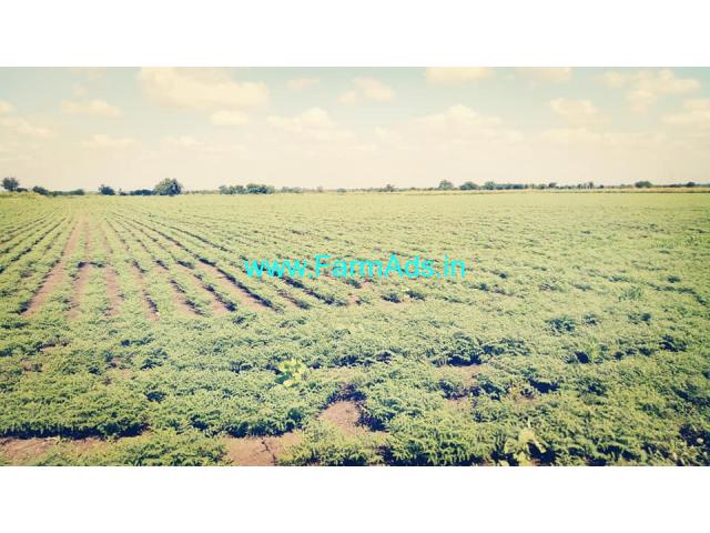 21 Acres Agriculture Land for Sale near Hiriyur