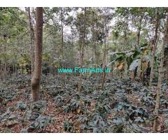 3.5 Acre Coffee Land For Sale Near Mudigere