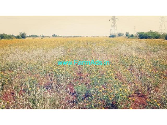 5 Acre Agriculture Land for Sale Near Hiriyur