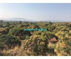 20 Acres of Alphonso Orchard for sale near Ramanagar