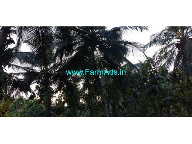 55 Acres Agriculture Land for Sale near Uppala