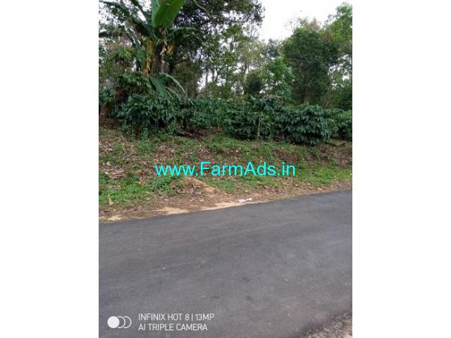 2 Acres Robusta Coffee Estate for Sale Near Coorg