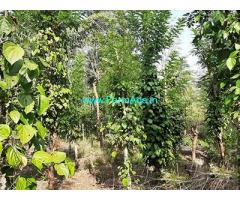 1.8 Acre Agriculture Land with Farm House For Sale Near Wayanad