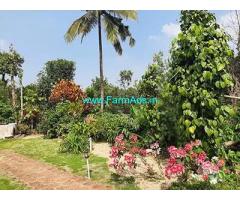 2.10 Acre Agriculture Land For Sale Near Wayanad