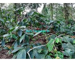 1.5 Acre Coffee Land For Sale Near Wayanad