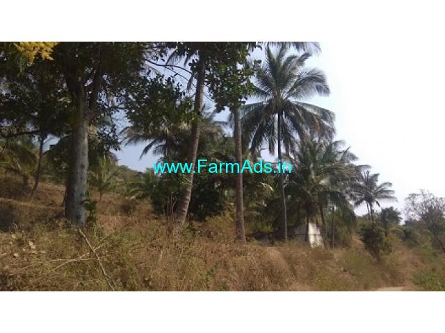 RiverSide 2 Acres Agriculture Land for Sale near Attapady