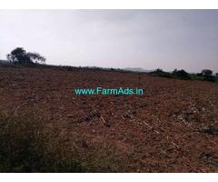 19 Acre Agriculture Land for Sale Near Thankallu mandal