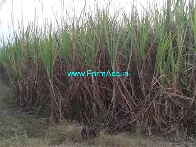 4 Acre Agriculture Land for Sale Near Sangli