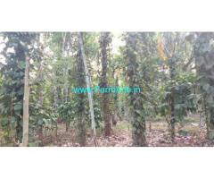 1.5 Acre Agriculture Land for Sale Near Pulpally