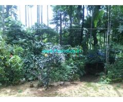 36 Cents Land with RCC house for Sale near Pozhuthana