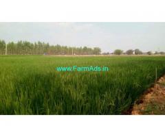 4.39 Acres Agriculture Land for Sale near Motakondur
