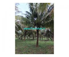 2 Acres Farm Land for Sale Near Kundadam