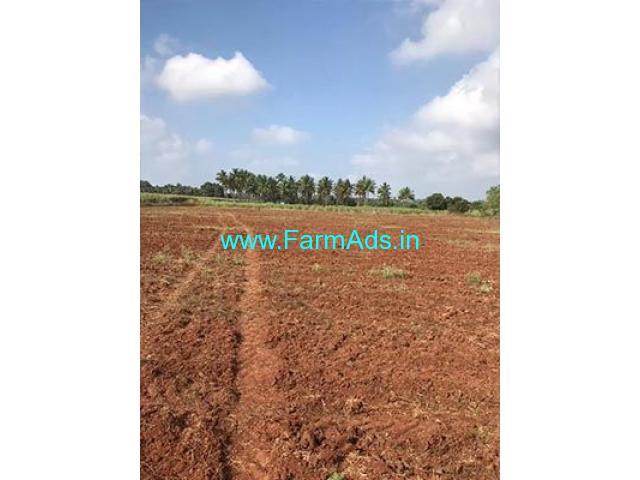 3 Acres Farm Land for Sale Near Periyapatti