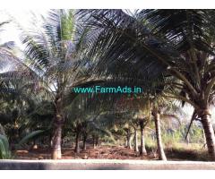 Coconut farm land for sale 5.07 Theni