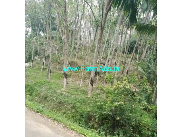 80 Cents Agriculture Land for Sale in Vattapara