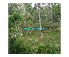 80 Cents Agriculture Land for Sale in Vattapara