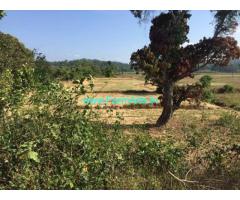 5.5 Acre Farm Land for Sale Near Chikmagalur