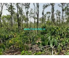 3.75 Acre Farm Land for Sale Near Mananthavady