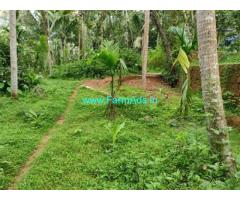 45 Cents Agricultural Farm Land for Sale in Vadakara
