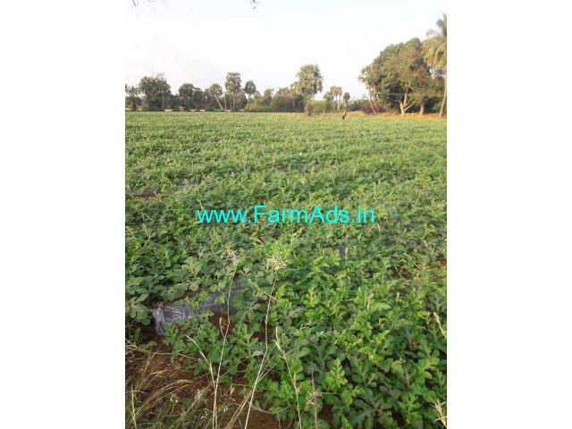 50 Acres Agricutlure Land for Sale near Thiruporur,Chengalpat Road