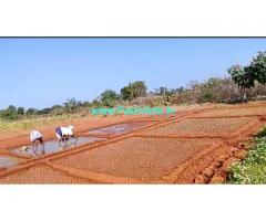 2 Acres Agriculture Land for Sale near Koheda