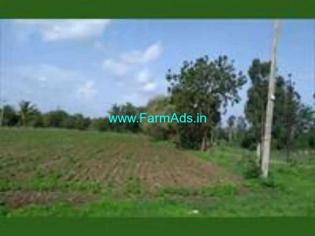 1.25 Acre Agriculture Land for Sale Near Atkuru