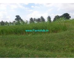 9.5 Acre Agriculture Land for Sale Near Thally
