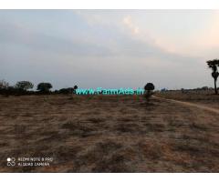 30 Acres Agriculture land for Sale in Champur,Warangal highway