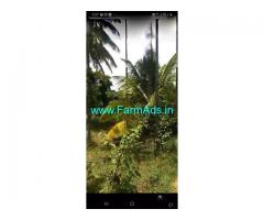 3.14 Acre Agriculture Land for Sale Near Kunigal