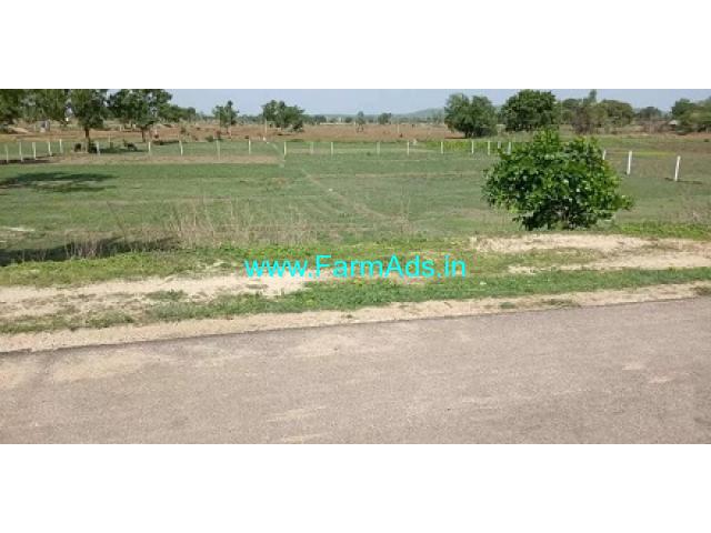 33 Guntas Agriculture Land for Sale near Kowdipally