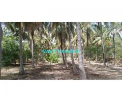 80 Acres Coconut with fruit farm for sale Near vadipatti