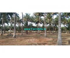 13.50 Acre Coconut Farms For Sale near Sathirapatti