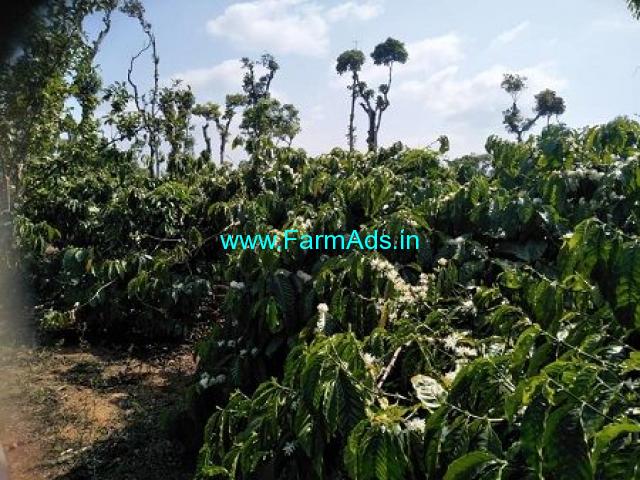 18 Acre Agriculture Land for Sale Near Chikmagalur