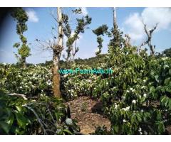 18 Acre Agriculture Land for Sale Near Chikmagalur